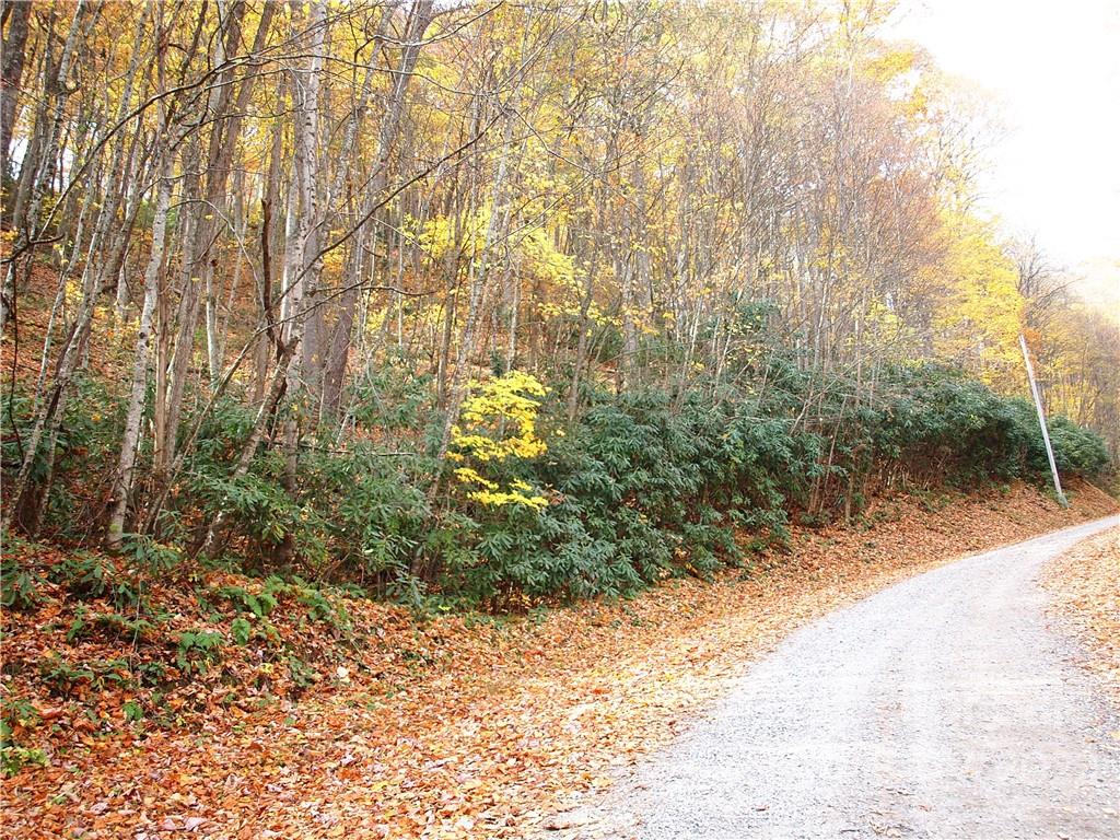 00 Connies 15 Cv Unit 15