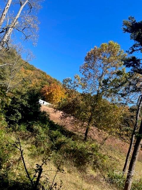 440 Jilly Dr, Clyde, NC 28721 photo 3