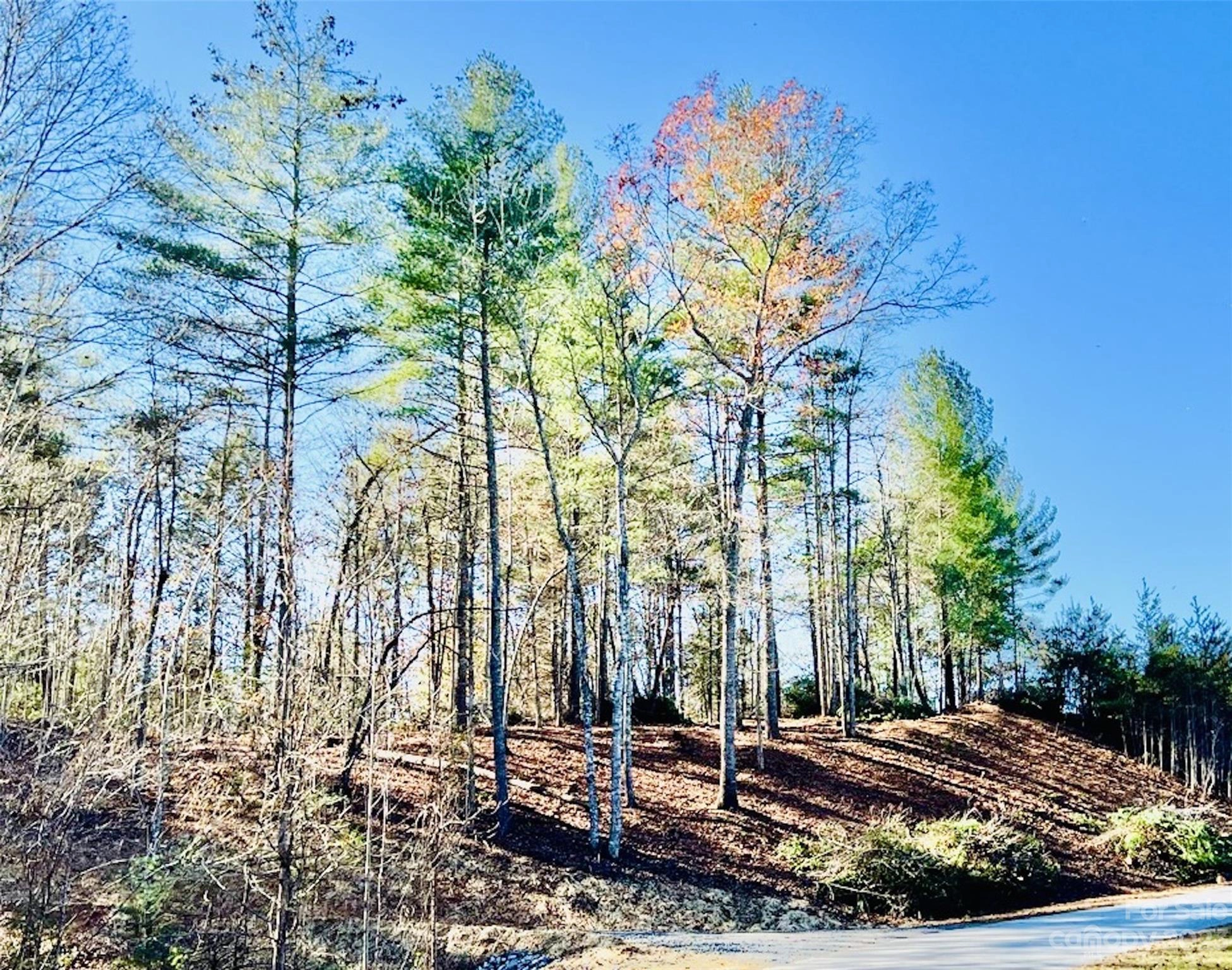 1 99 Acres Lot 78 Round Mountain Lot 78 Pkwy Unit Lot 78