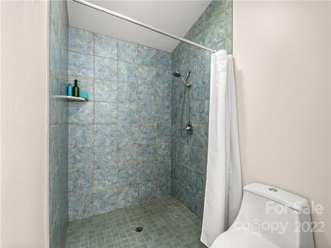 55 Covil Dr, Tryon, NC 28782 photo 34