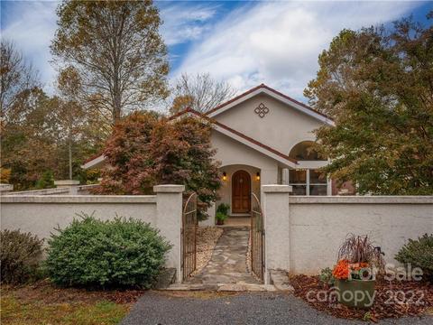 55 Covil Dr, Tryon, NC 28782 photo 45