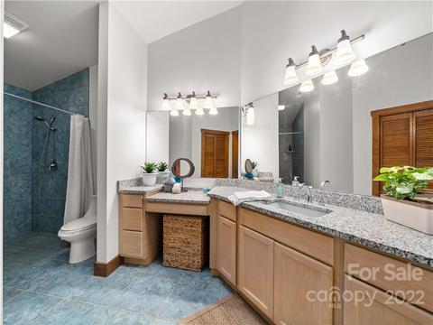 55 Covil Dr, Tryon, NC 28782 photo 33