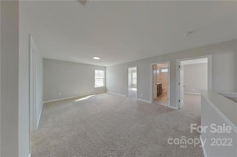 228 Hydrangea Dr, Clover, SC 29710 photo 19