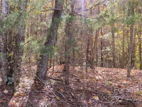 181 Cedarvale Lt Apt 35 Dr Apt Lt #LT 35, Harmony, NC 28634