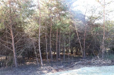 585 Morlin Acres Dr #33, Marshall, NC 28753