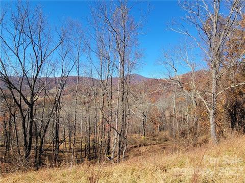 1300 Glades Road #3 PARCELS, Clyde, NC 28721