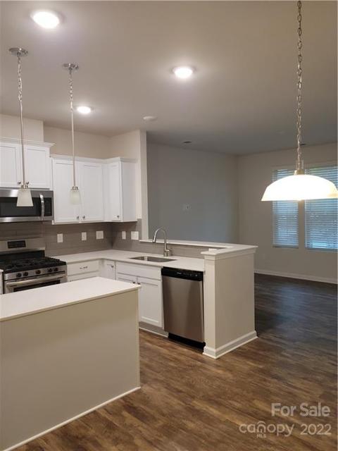 12922 Robert Walker Dr, Davidson, NC 28036 photo 19