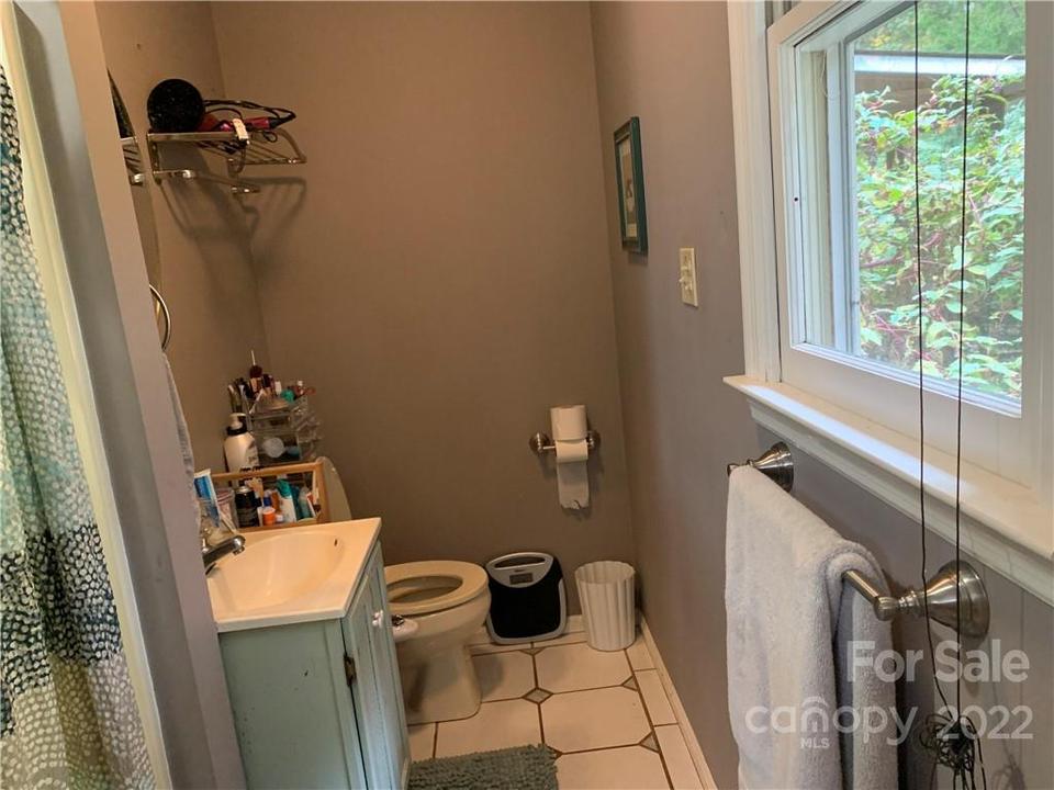  12 Morris Dr, Weaverville, NC 28787 photo 39