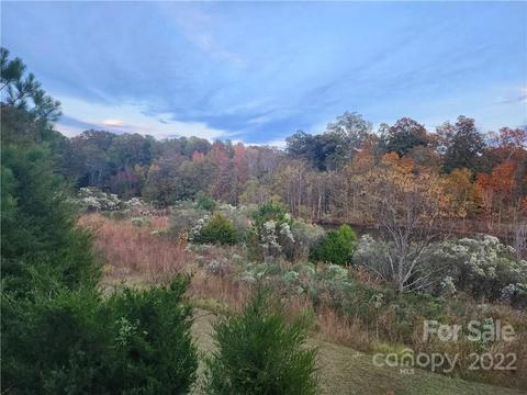 403 Blacksgate Rd, Prosperity, SC 29127 photo 3