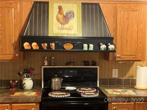 403 Blacksgate Rd, Prosperity, SC 29127 photo 5