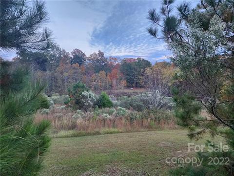 403 Blacksgate Rd, Prosperity, SC 29127 photo 4