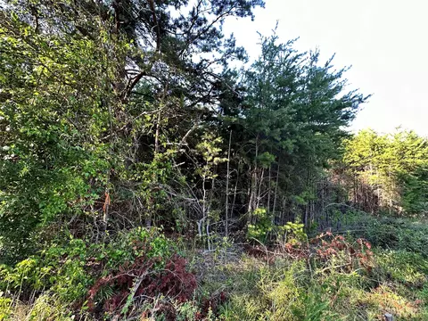5342 Hope Rd, Vale, NC 28168 photo 38