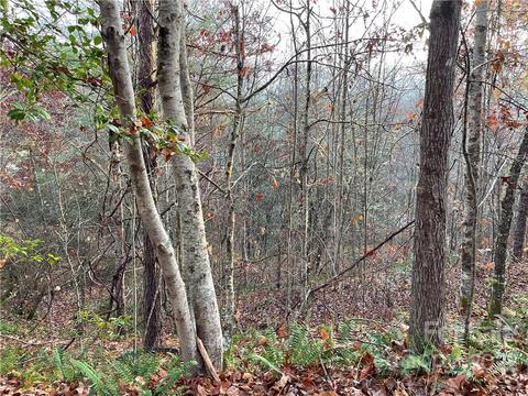 Kimiko Lane, Balsam Grove, NC 28708