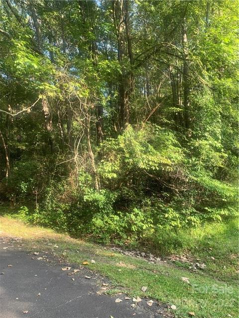 00 Almetta St, Lancaster, SC 29720 photo 5