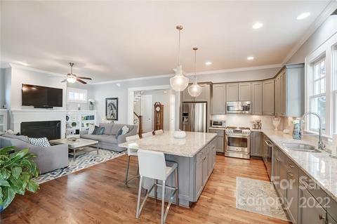 629 Hudson Pl, Davidson, NC 28036 photo 10