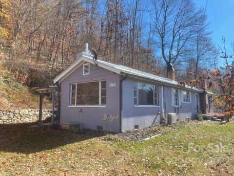 2194 Grapevine Rd, Marshall, NC 28753 photo 1