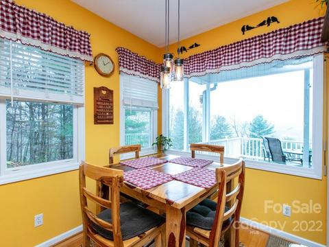 224 Eagle Point Dr, Brevard, NC 28712 photo 17