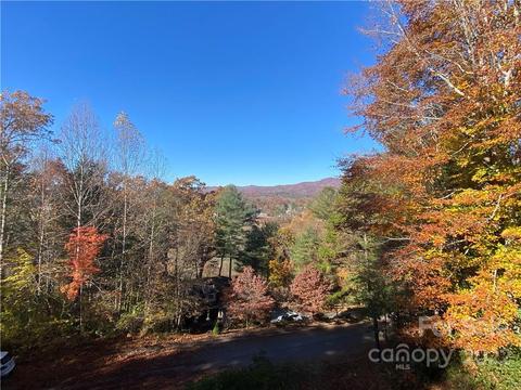 224 Eagle Point Dr, Brevard, NC 28712 photo 5