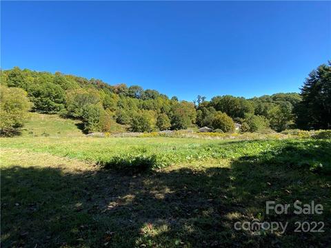 99999 Orion Davis Rd, Waynesville, NC 28786