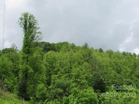 Pack Saddle Drive, Green Mountain, NC 28740
