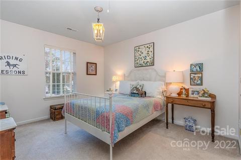 320 Brixham Pl, Fort Mill, SC 29708 photo 25