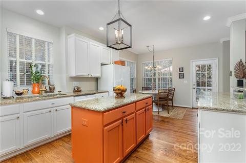 320 Brixham Pl, Fort Mill, SC 29708 photo 9