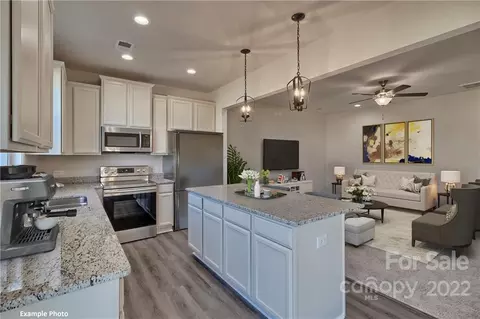 3919 Townes Blvd, Terrell, NC 28682 photo 5