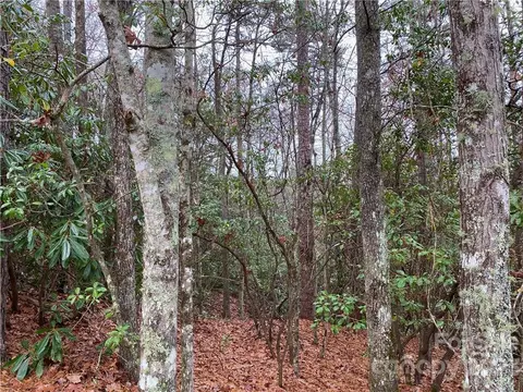 M30 Elk Mountain Trail, Brevard, NC 28712