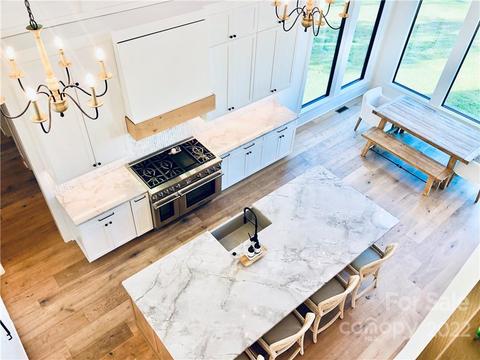 20911 Cinnamon Tree Ln, Cornelius, NC 28031 photo 6