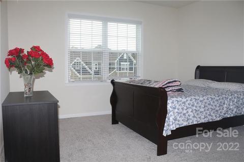 2918 Haley Cir, Davidson, NC 28036 photo 14