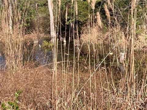 3134 Timrod Rd, Bethune, SC 29009 photo 42