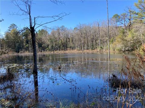 3134 Timrod Rd, Bethune, SC 29009 photo 1