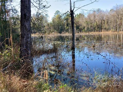 3134 Timrod Rd, Bethune, SC 29009 photo 3