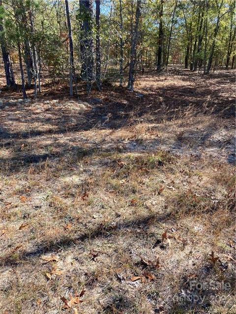3134 Timrod Rd, Bethune, SC 29009 photo 41