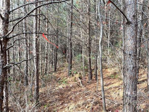 99999 Silver Creek Rd #A, Mill Spring, NC 28756