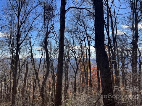 00 Hemlock Trl #63, Columbus, NC 28722