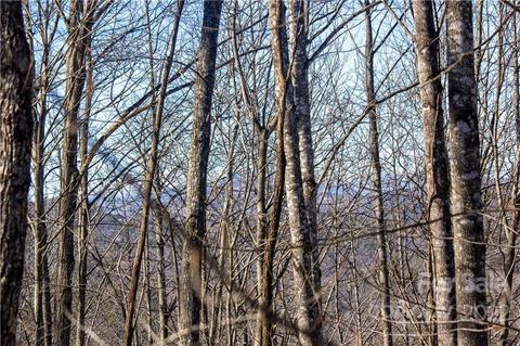 Ridge Stone 161 Lane #161, Lenoir, NC 28645