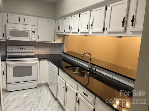 20105 Henderson Rd #E, Cornelius, NC 28031 photo 18
