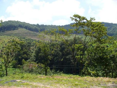 Tbd Mill Creek Road, Todd, NC 28684