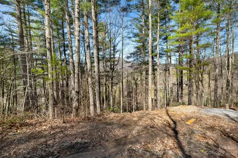 99999 Deer Run 48 Ln #48, Asheville, NC 28805