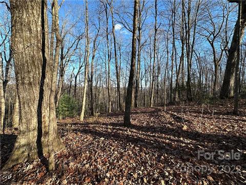 Tbd Whetstone Gap Road, Lake Toxaway, NC 29847