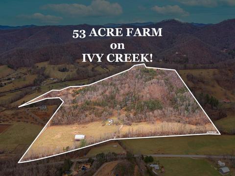 10 White Pine Dr, Barnardsville, NC 28709