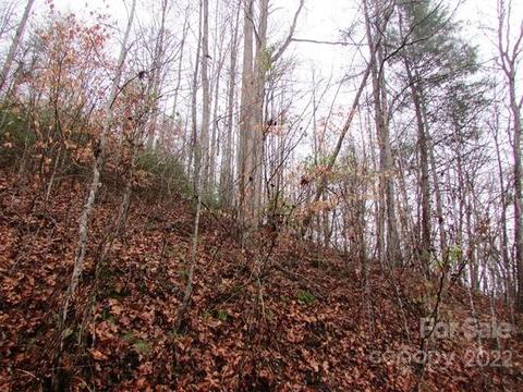 Pack Saddle Drive, Green Mountain, NC 28740