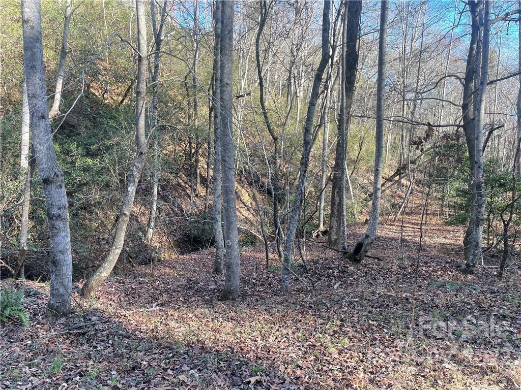 0 Oriole 293-3295-3308-3 Dr Unit 293-3 295-3 308-3