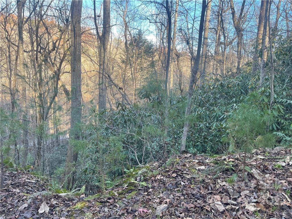 0 Shannons 127-2 126-2 Walk Unit 127-2 126-2  