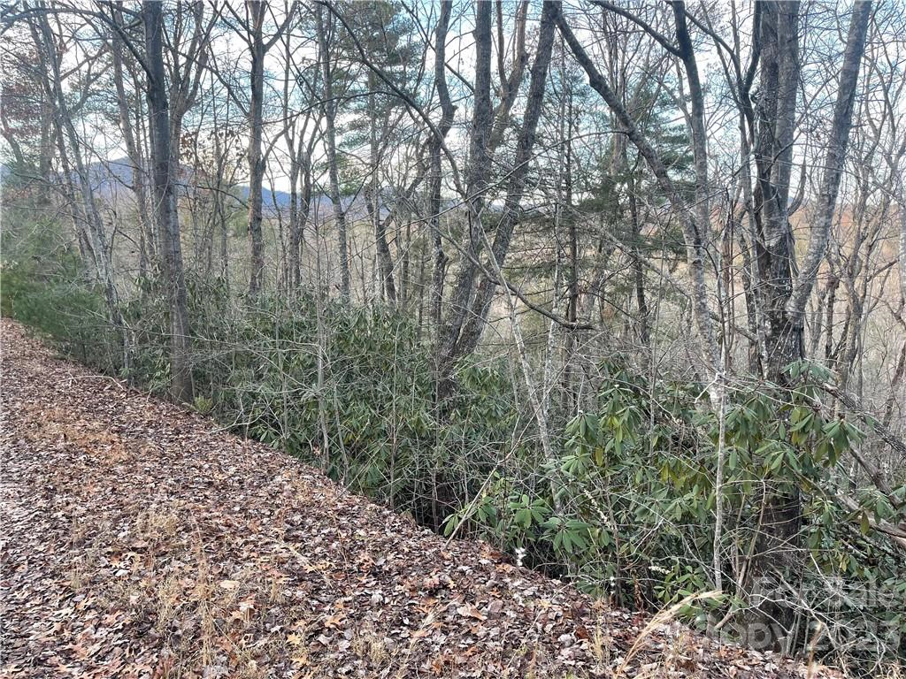 0 Pheasant 14-1 15-1 16-1 St Unit 14-1 15-1 16-1  