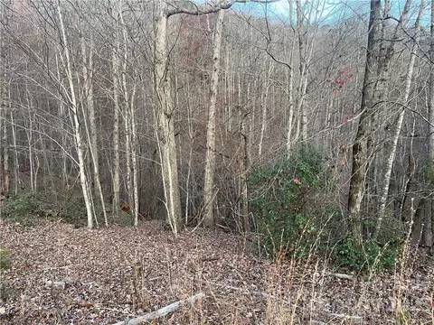 0 Redbird 242 243 Dr #242, 243, Lake Lure, NC 28746