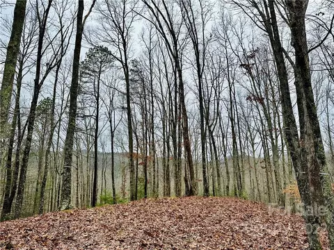 921 Wild River 33 Run #33, Marshall, NC 28753