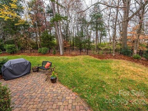 17015 Winged Thistle Ct, Davidson, NC 28036 photo 39