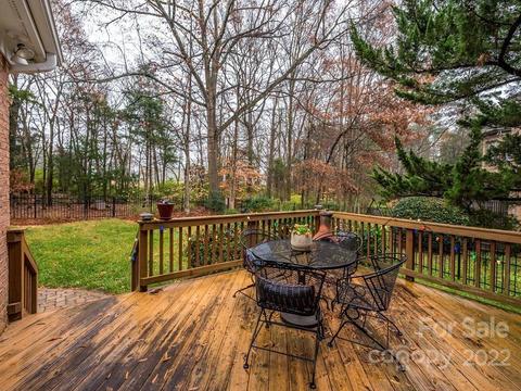 17015 Winged Thistle Ct, Davidson, NC 28036 photo 38